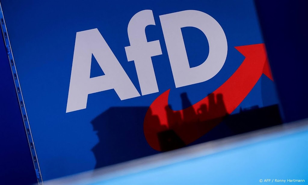 AfD-politicus veroordeeld voor opmerkingen over Jodenvervolging