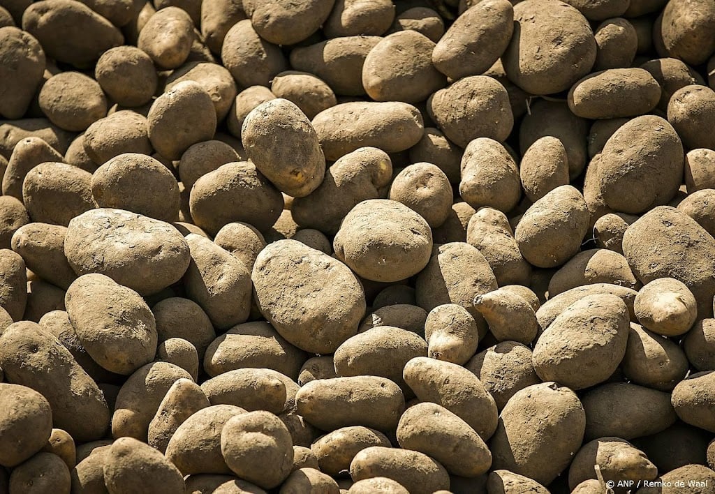 Tien kandidaten voor doorstart aardappelproductenmerk CêlaVíta