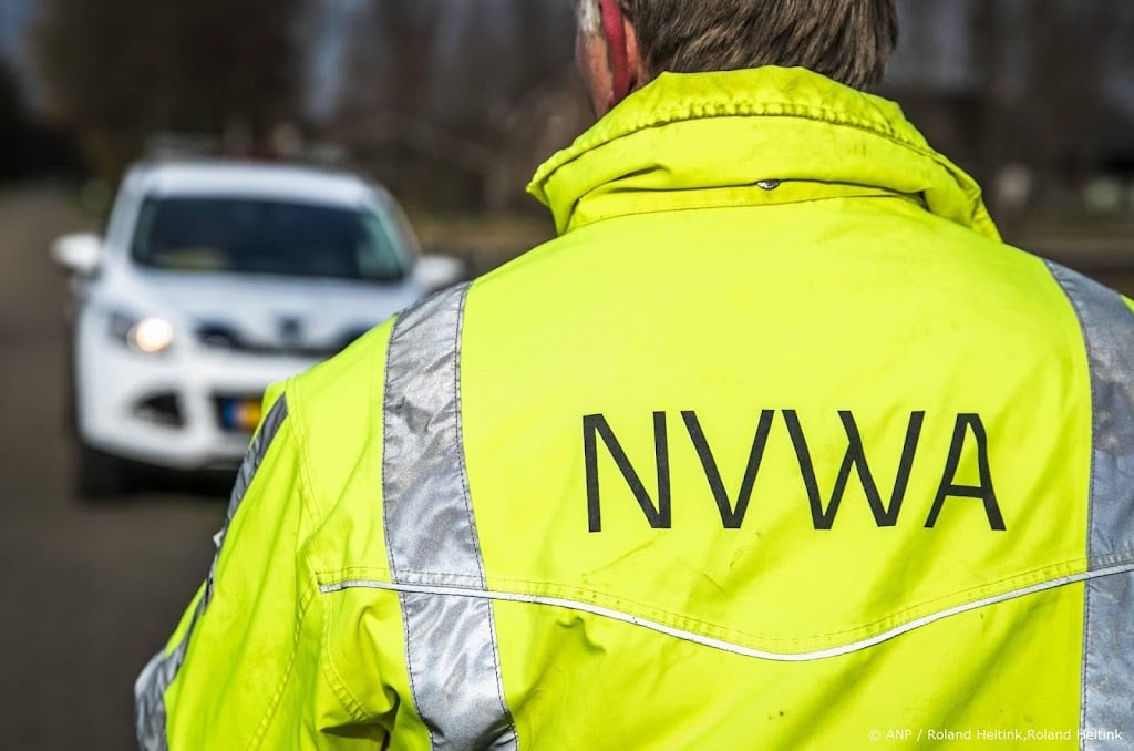 NVWA waarschuwt voor meeliftende Japanse kever