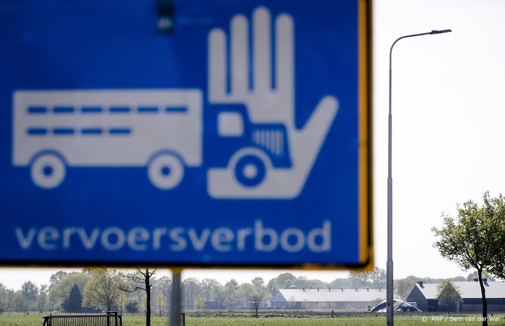 Vogelgriep bij bedrijf in Oldekerk, 38.000 dieren geruimd