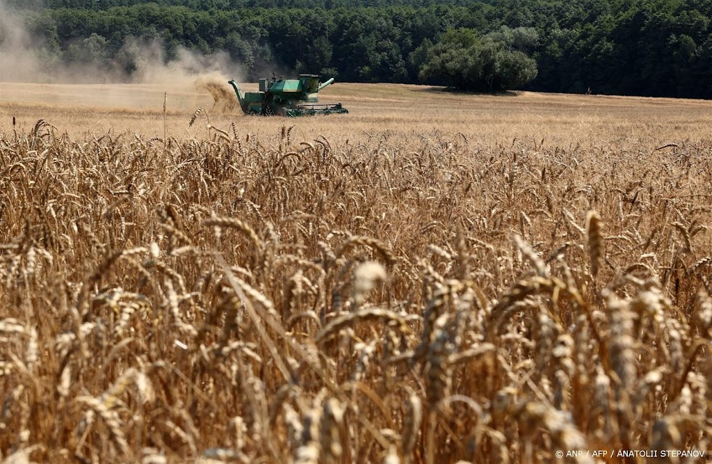 Economie Oekraïne in eerste 9 maanden met 4,5 procent gegroeid