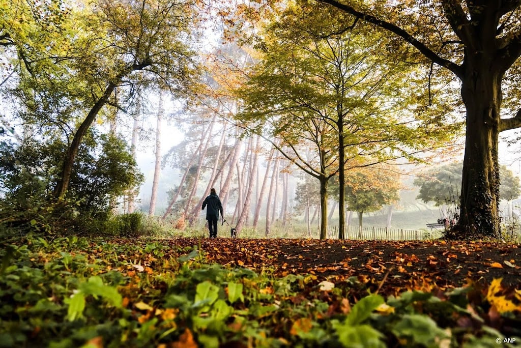 Voor het eerst in bijna een halfjaar nergens warmer dan 15 graden