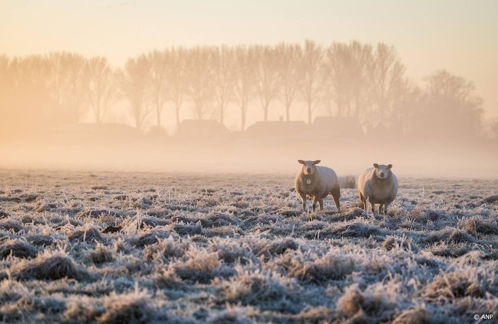 Winters weer op komst: kans op natte sneeuw en vorst 