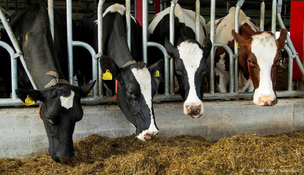 Meer meldingen over dierverwaarlozingen bij veehouders