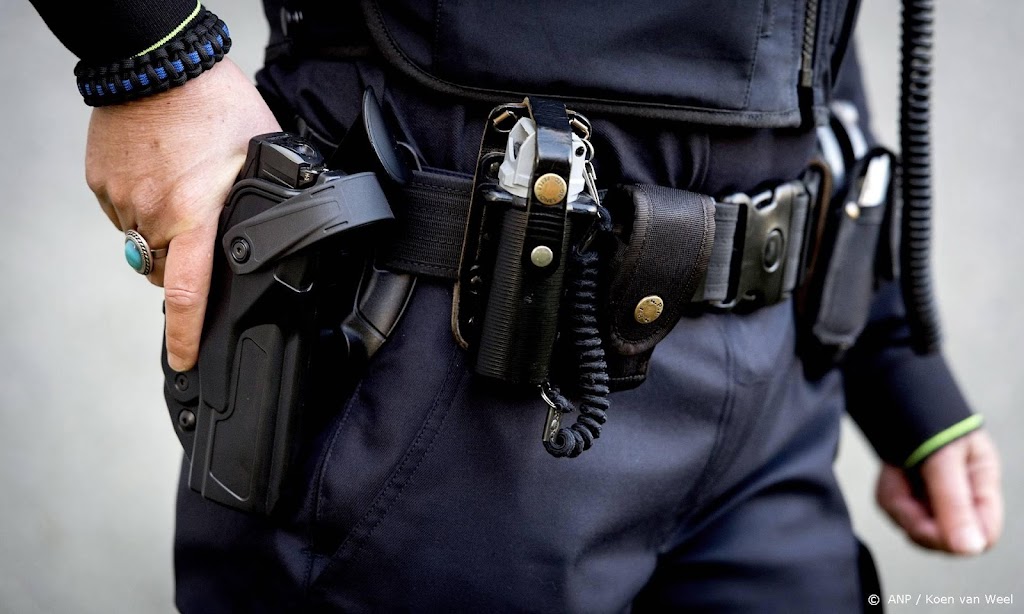 Politie lost schoten bij aanhoudingen in Tholen