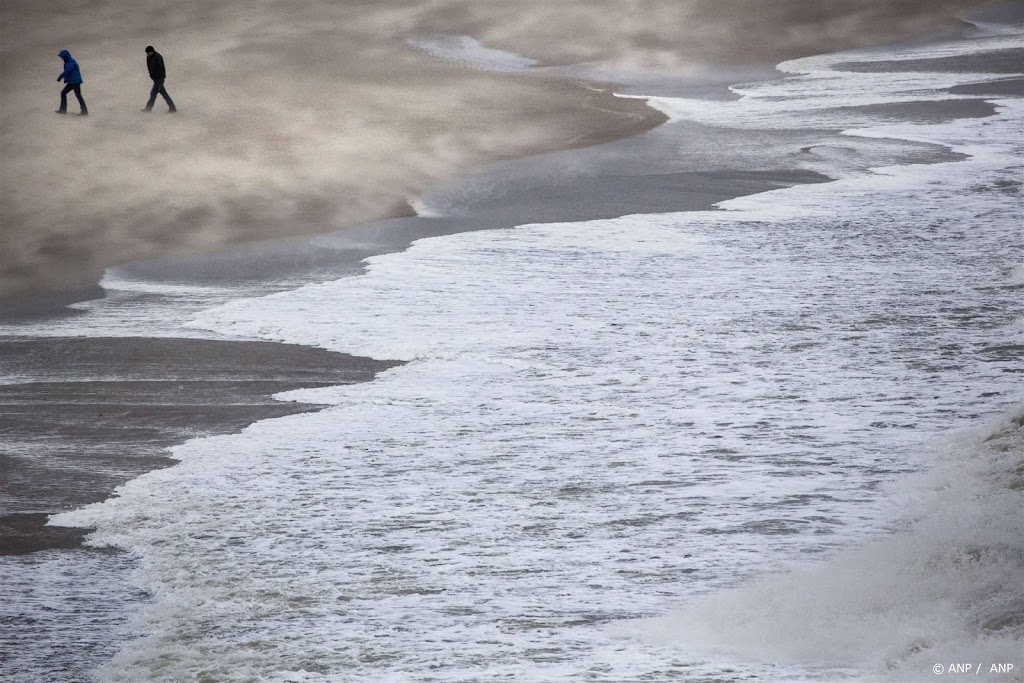 Zuid-Hollandse Staten willen risico's van PFAS in zeeschuim weten