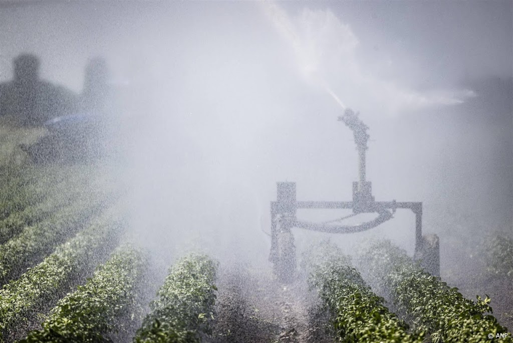 Inkomens landbouw lager, melkveehouders profiteren van prijs