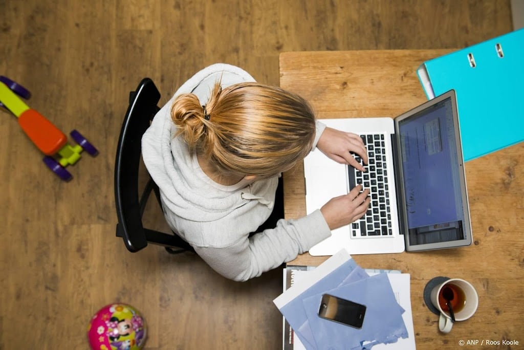 Kamer blijft bij langere boetepauze schijnzelfstandigheid