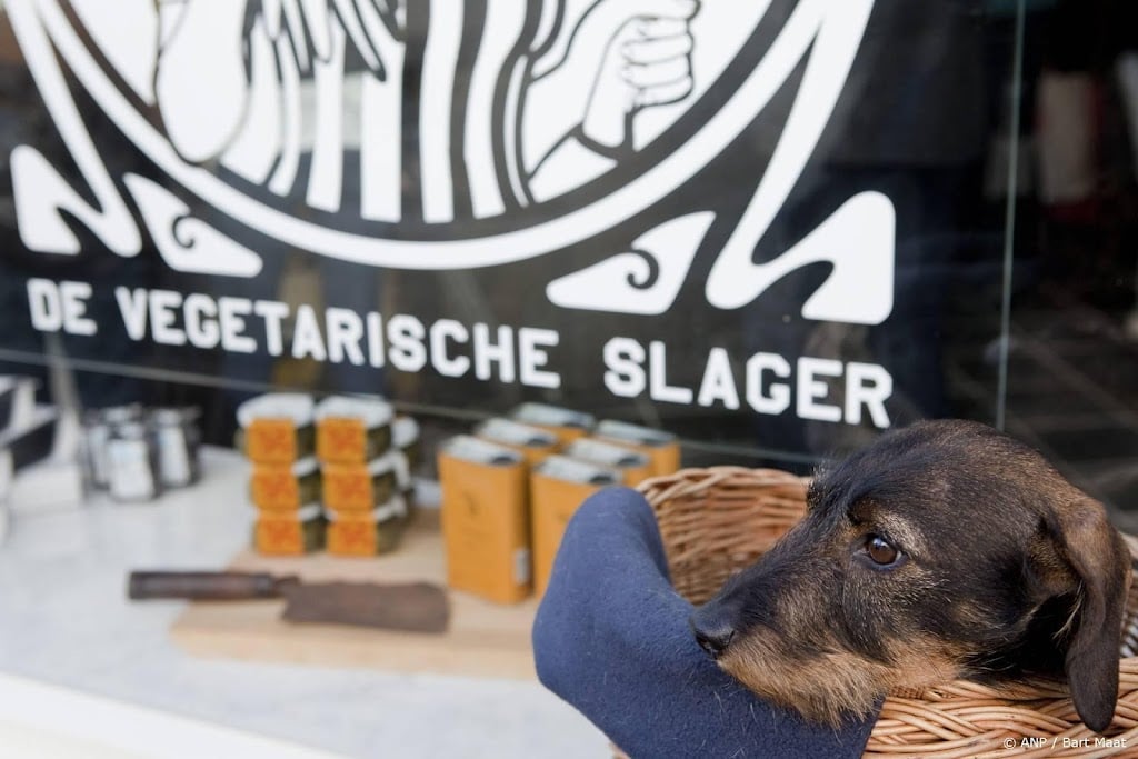 'Echte kaas zonder koeien' dichterbij door miljoeneninvestering