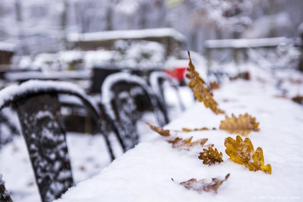 Oosten en zuidoosten van Nederland regionaal wit na sneeuwval