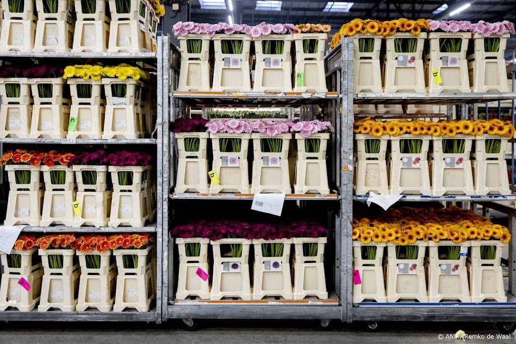 Nederlandse export bloemen en planten zet groei voort