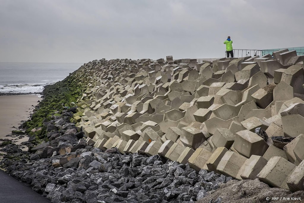 Waterschappen druk met stormschade, geen problemen bij dijken 