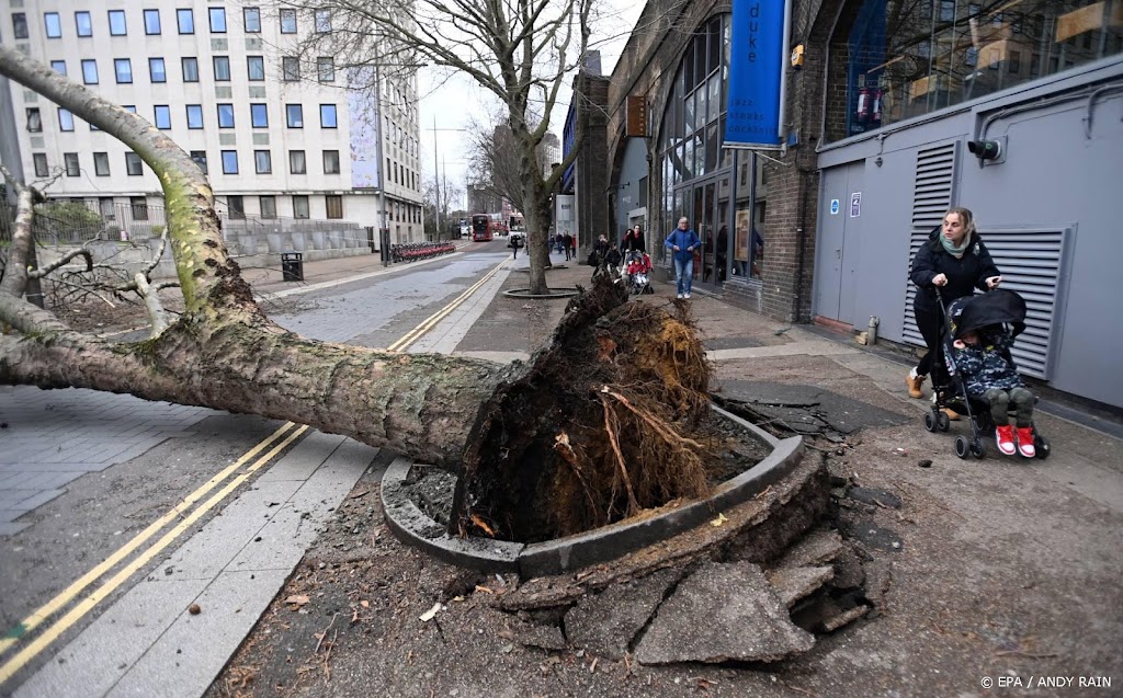 Stormschademeldingen bij Univé al goed voor 3,5 miljoen euro