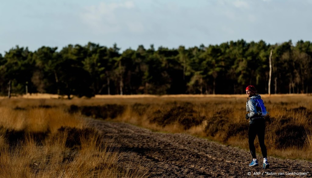 Nederlanders trekken massaal hun hardloopschoenen aan