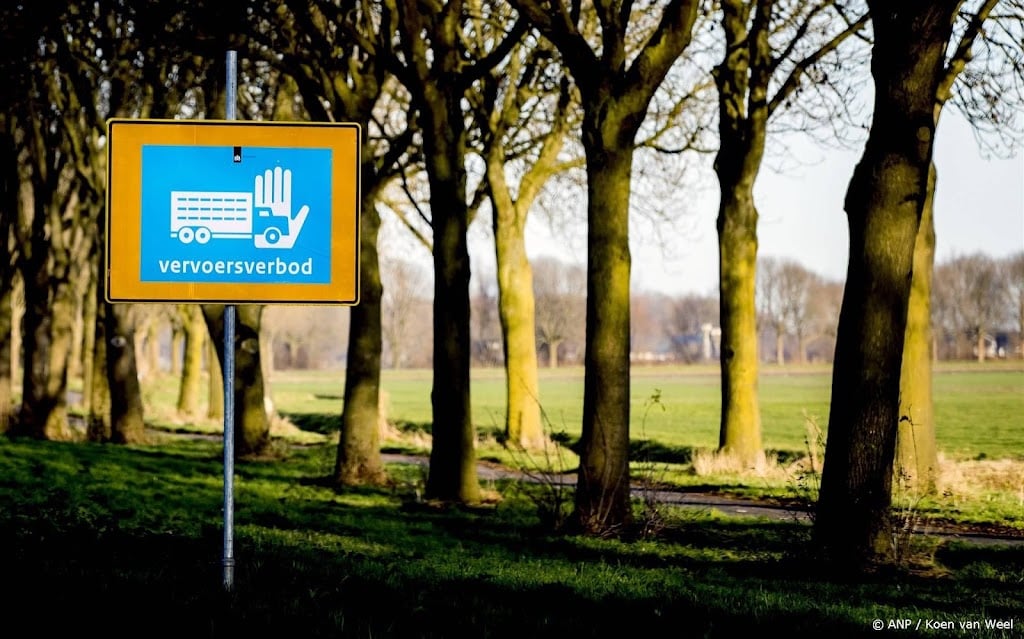 Vogelgriep op boerderij met 27.000 kalkoenen in Gelderse Putten