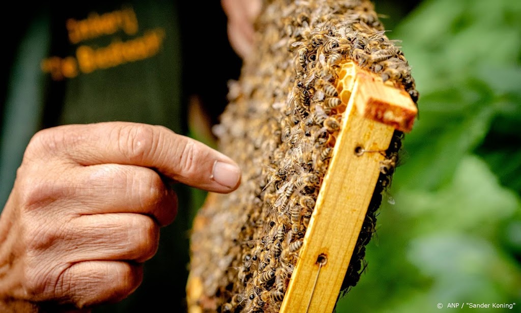 Recordaantal bijen geteld