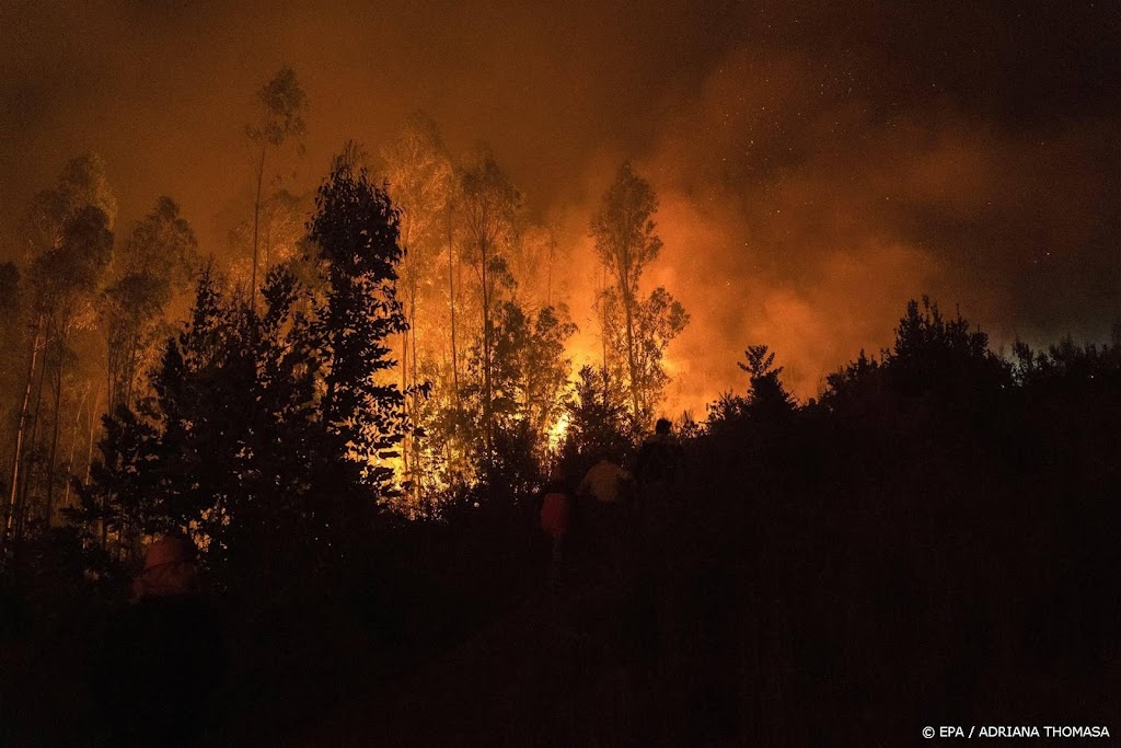 Honderden geëvacueerd vanwege bosbrand in West-Spanje