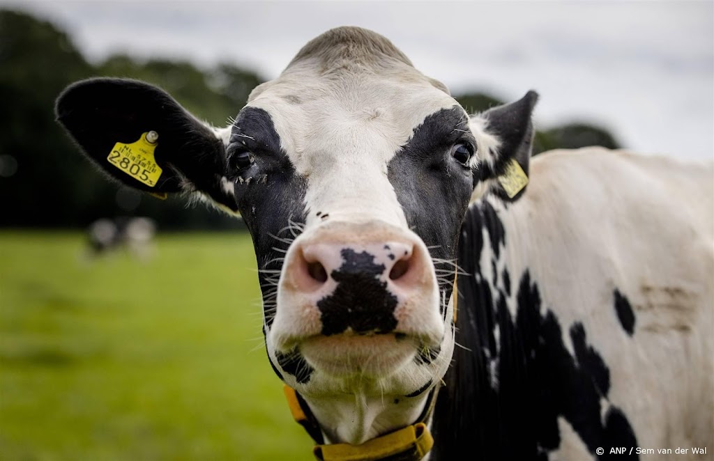 Vlaanderen versoepelt impopulaire uitkoopregeling voor boeren