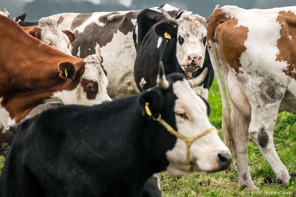 Veehouderij veroorzaakt grootste milieuschade volgens PBL-rapport