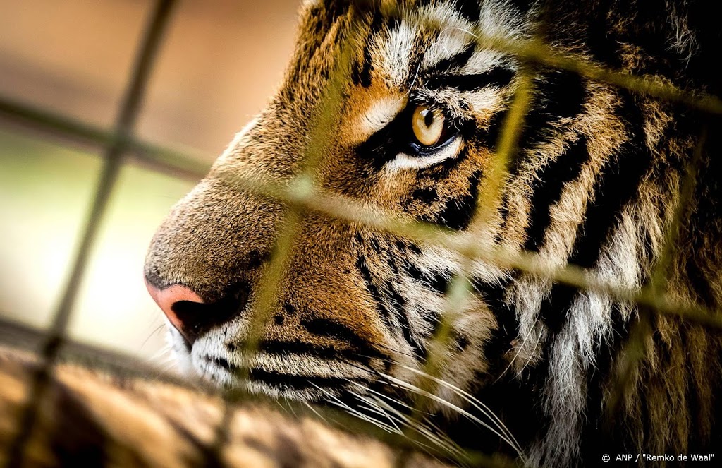 Door Netflix wereldberoemd Tiger King-park permanent gesloten