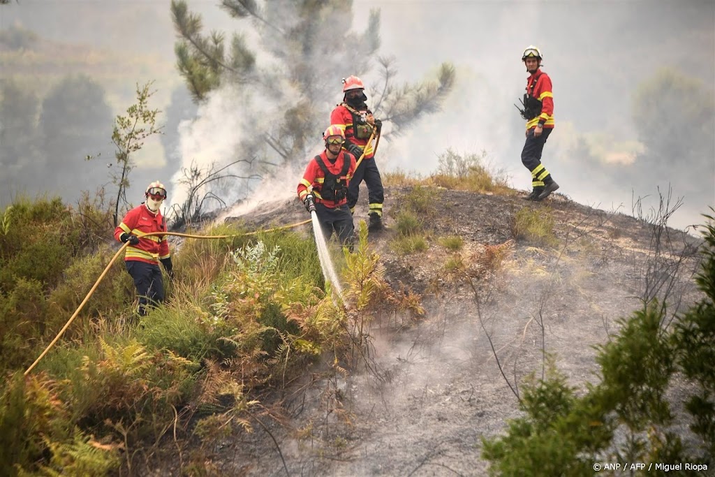Meerdere Nederlanders melden zich bij ANWB om bosbranden Portugal
