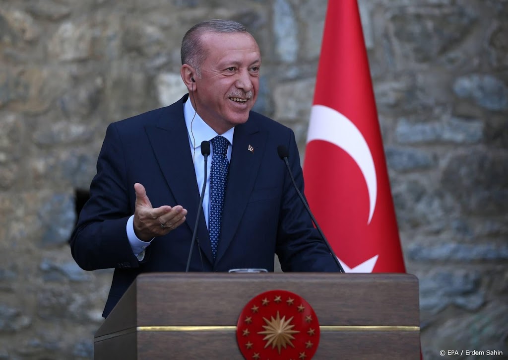 Europees hof vindt detentie om bespotten Erdogan te ver gaan