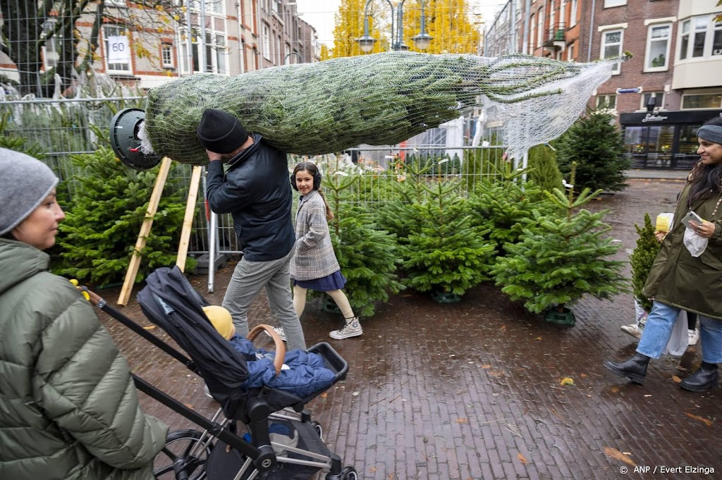 Kerstboombranche optimistisch over verkoop ondanks inflatie en WK
