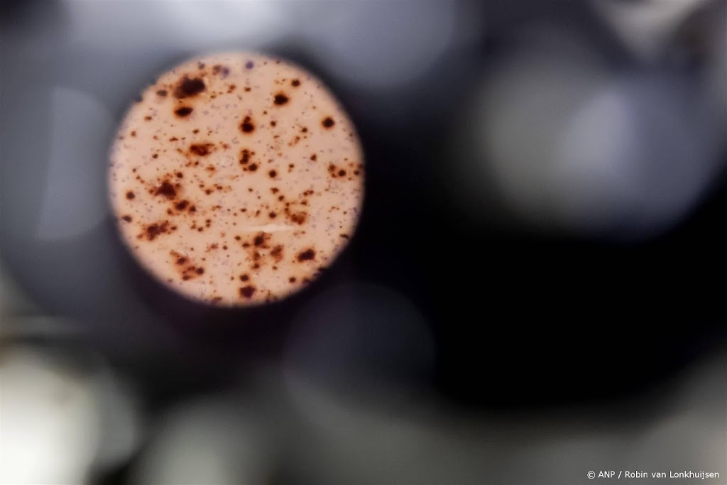 Aantal chronisch zieken naar bijna 12 miljoen in 2050 
