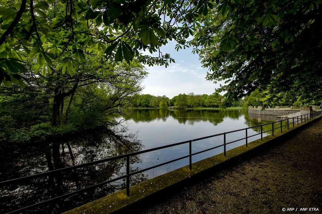 Onderzoek: gemeenten planten soms bomen die soortenrijkdom schaden