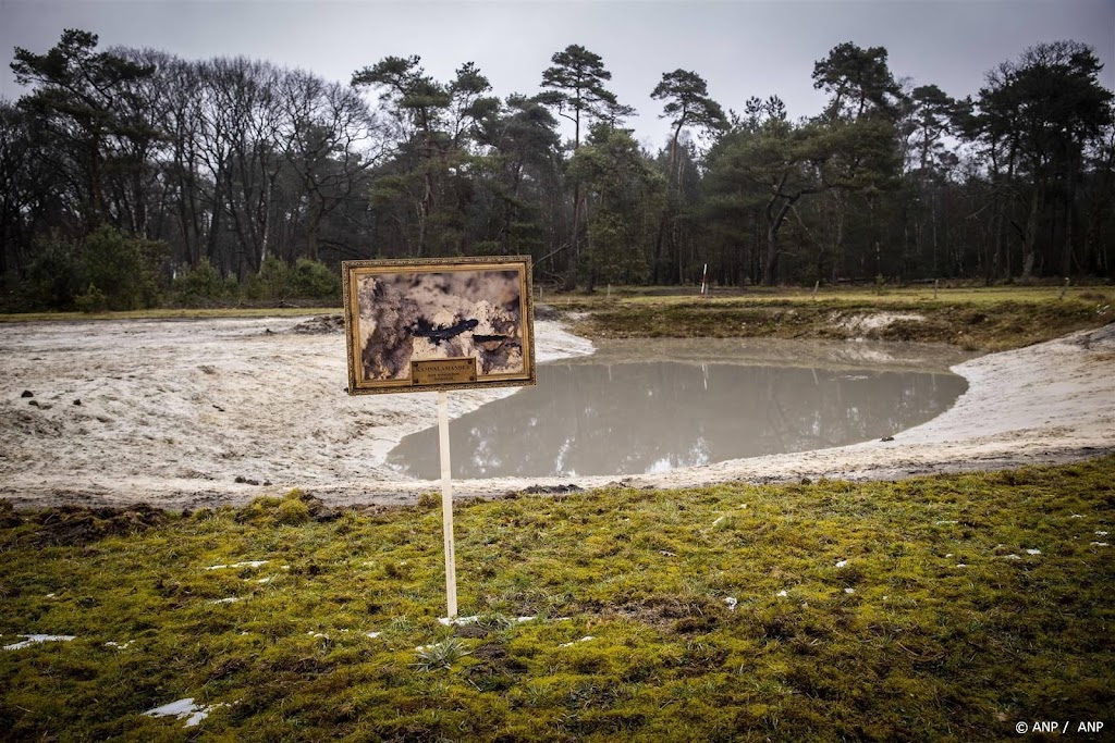 Natuurclub verliest kort geding om bomenkap Sallandse Heuvelrug