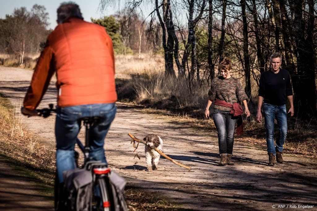 Dierenorganisaties blij met uitzondering avondklok hondenbaasjes 