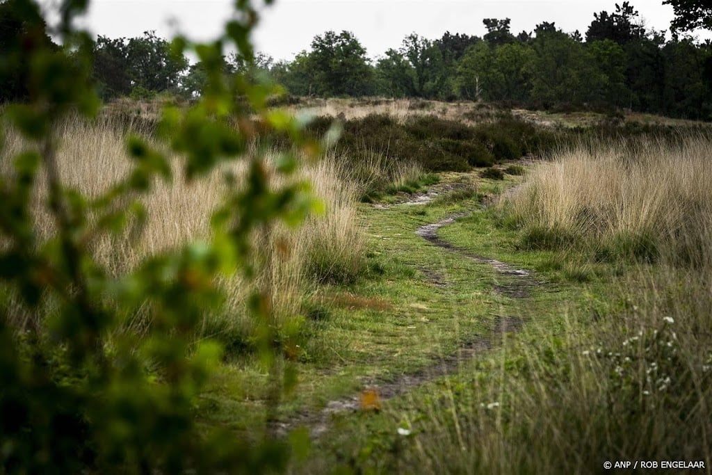 Natuur levert veel meer baten dan kosten op volgens CBS