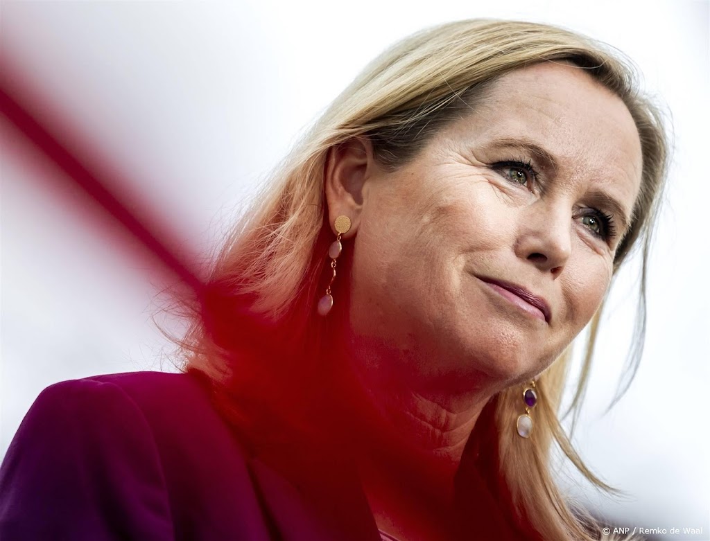Ondernemers: begrip keuzes in handels- en ontwikkelingshulpbeleid