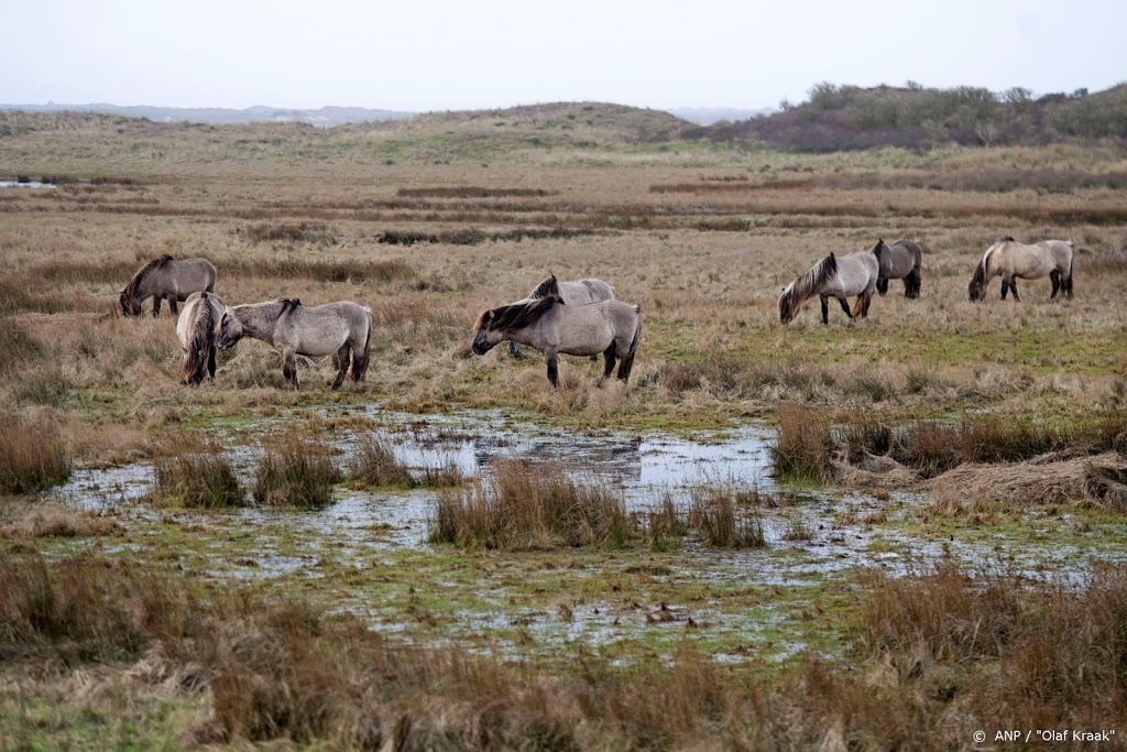 Dit weekend grote drukte verwacht in natuurgebieden