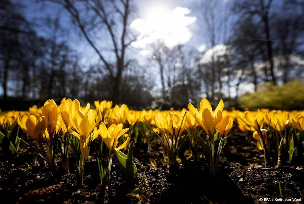 Zonnige, droge en warme lente op komst