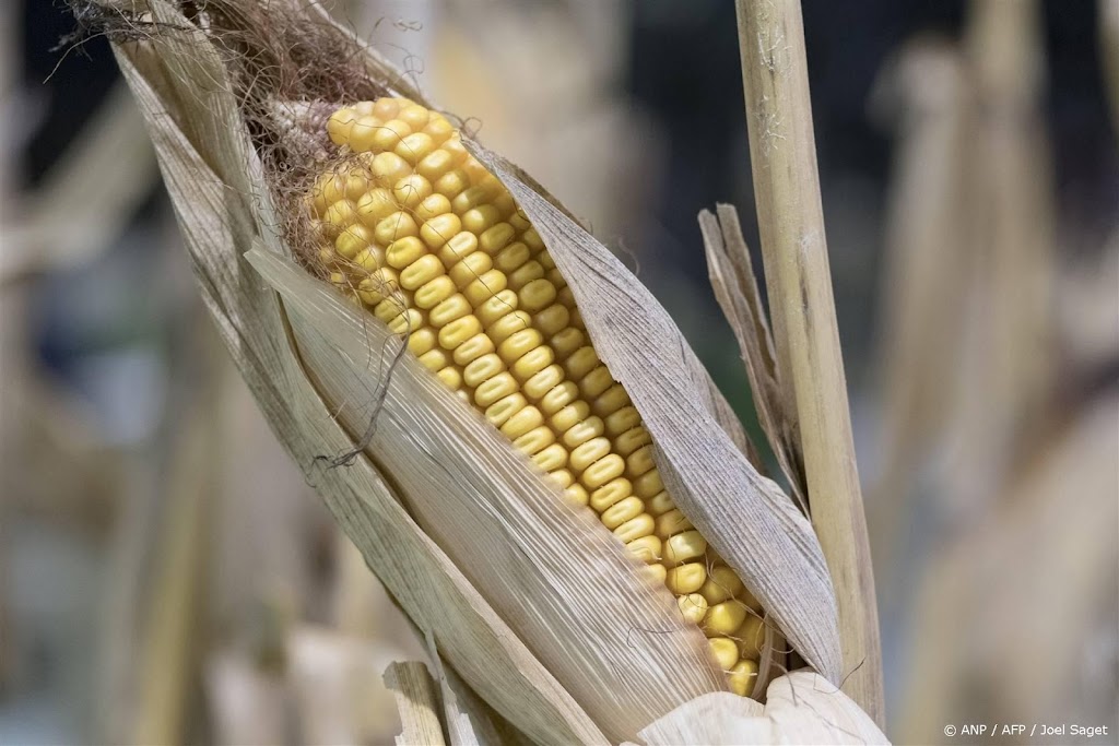 EU scherpt regels voor landbouwproducten uit Oekraïne aan