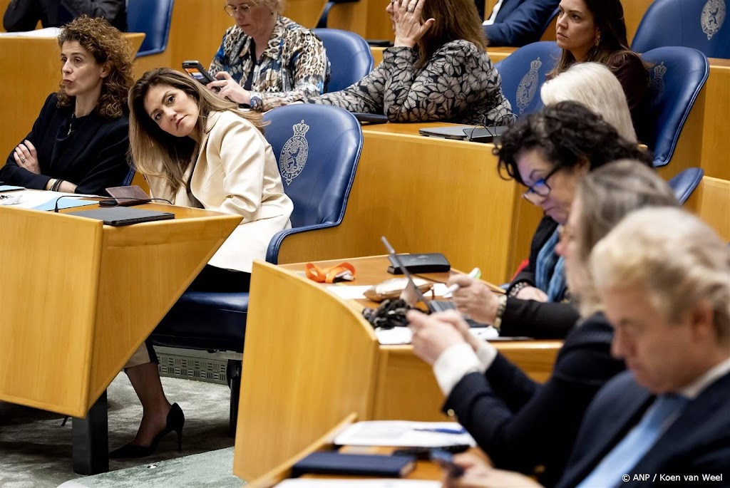 Kleine partijen zien niets in een 'programkabinet' 