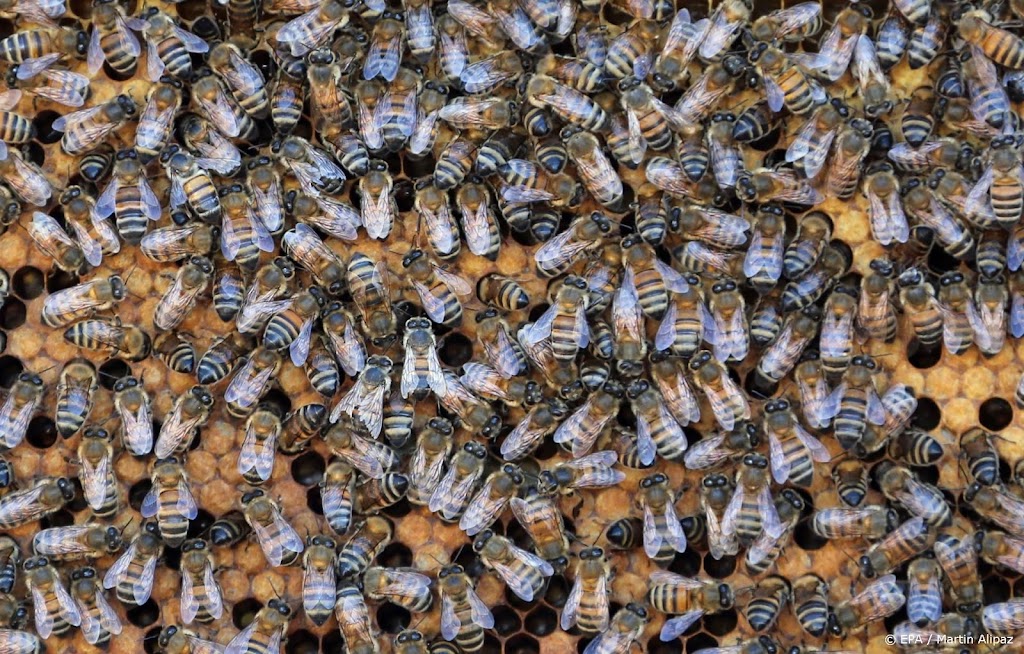 Studie: klimaatverandering en intensieve landbouw nekken insecten