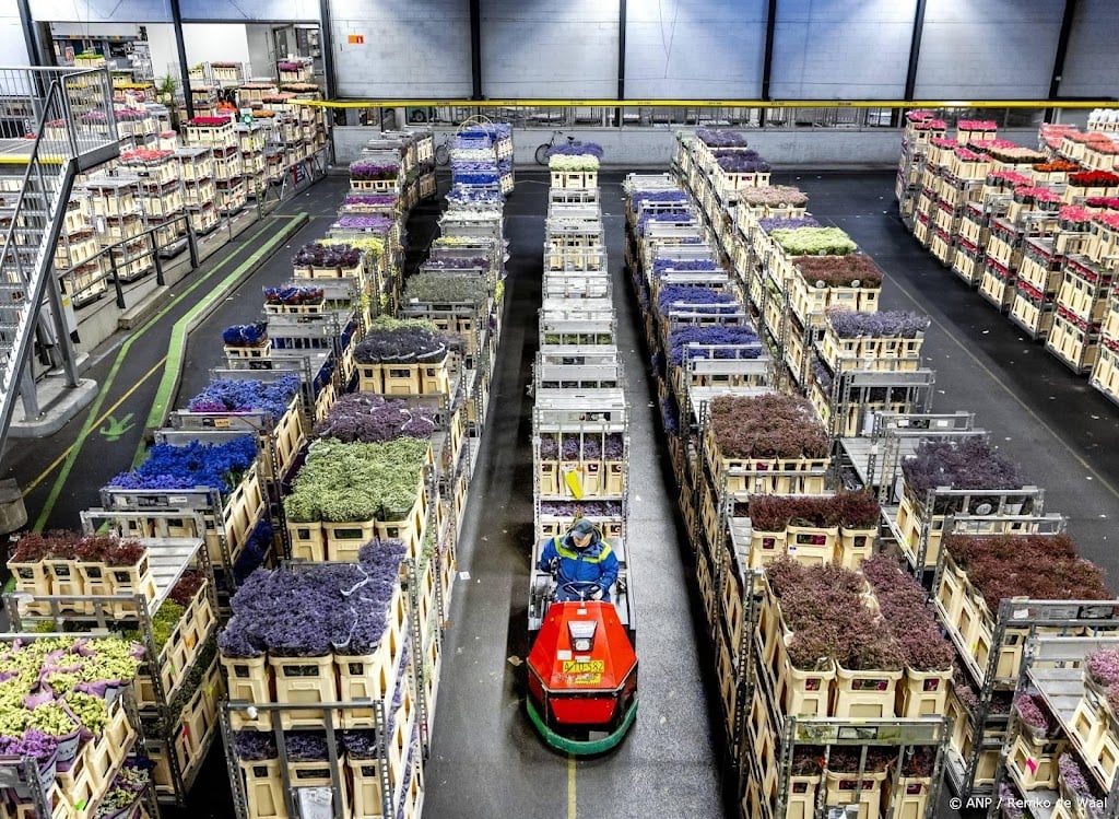 Nederlandse export bloemen en planten krimpt in eerste kwartaal