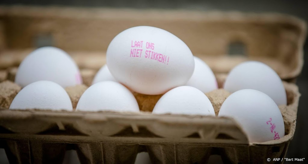 Luizenbestrijders aansprakelijk voor schade fipronilschandaal