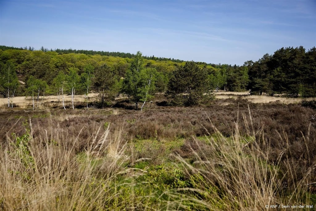 Droogte neemt toe, maar binnenkort regen verwacht