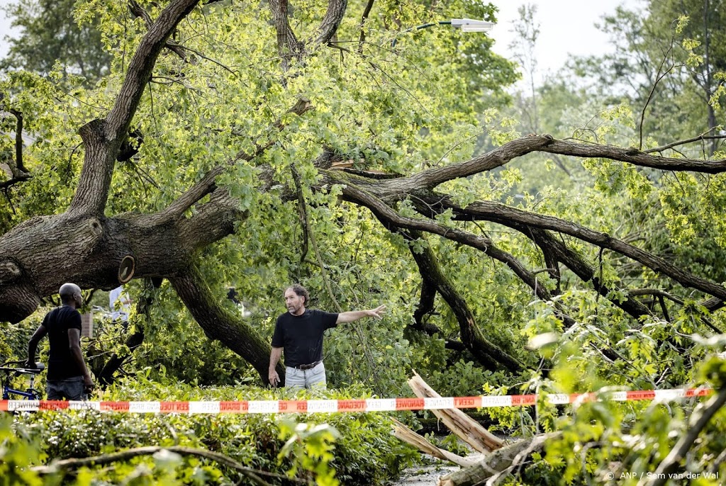 Staatsbosbeheer tevreden over effect dranghekken in bos Leersum 
