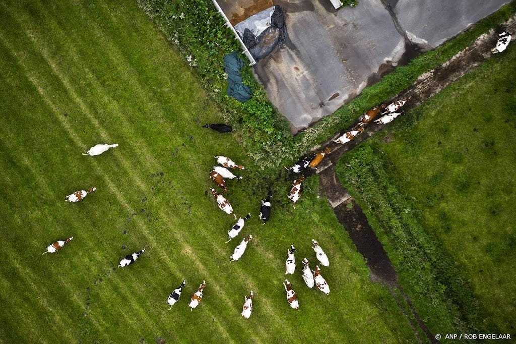 Boeren willen stikstofplan maken met overheidsspecialisten