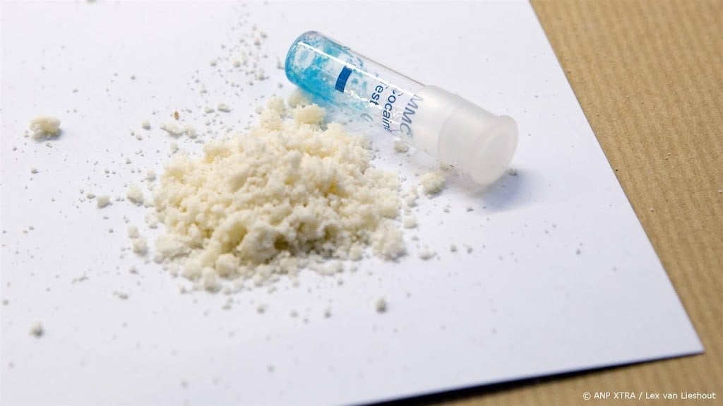 Douane vindt in Rotterdam 150 kilo cocaïne in lege container 