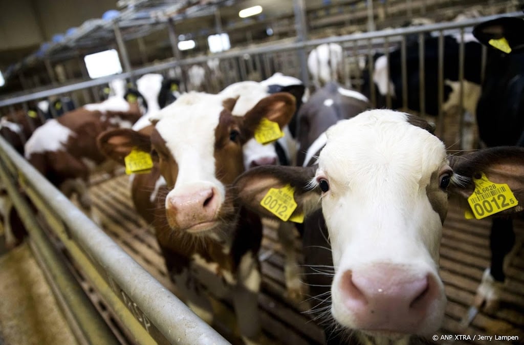 Uitzendbranche noemt uitzendverbod vleessector 'disproportioneel'