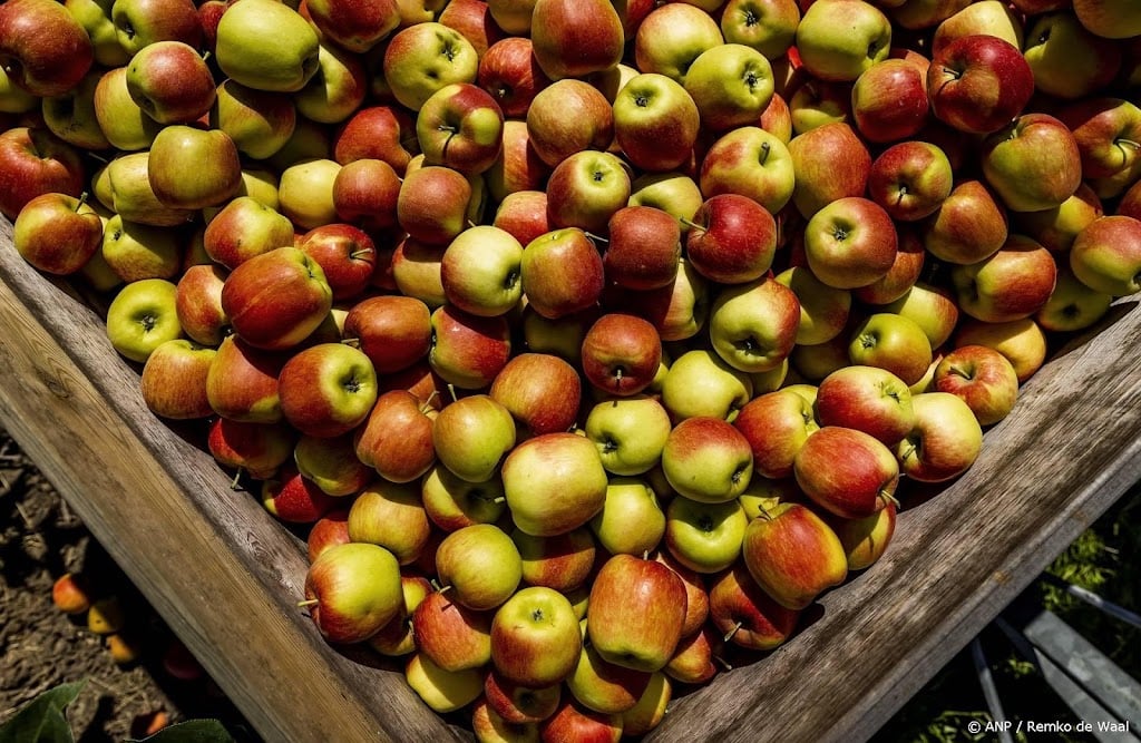Branche verwacht lagere appeloogst, peren juist meer