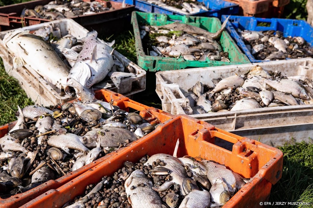 Al meer dan 190 ton dode vis uit Oder geschept
