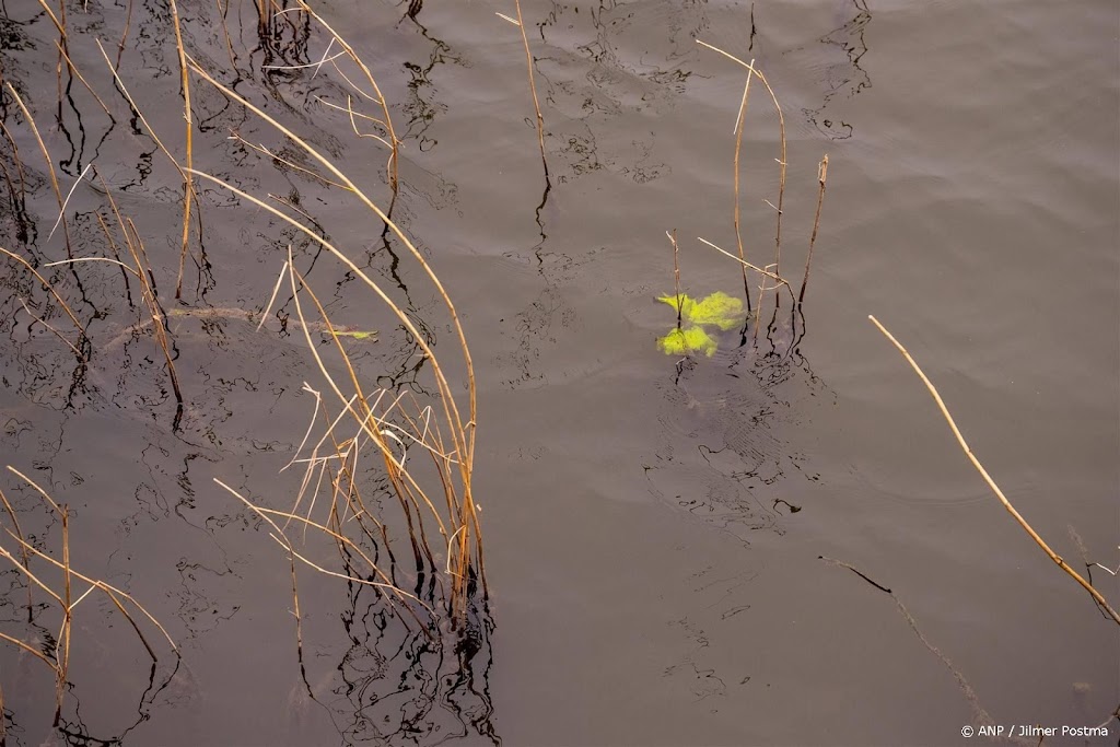 Waterschap meet opnieuw meer PFOS dan norm in Twentse beek