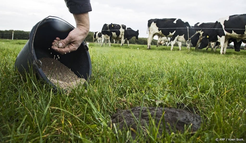Aandeelhouders halen uit naar kunstmestproducent OCI om fusie