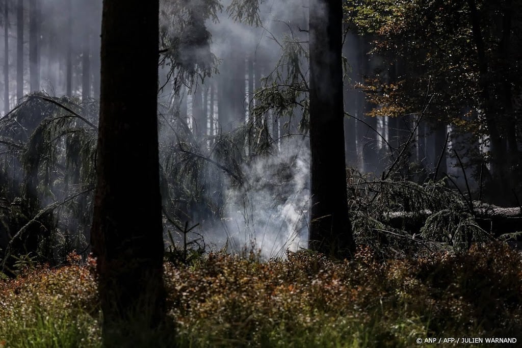 Nederlandse brandweer helpt komende dagen bij natuurbrand België